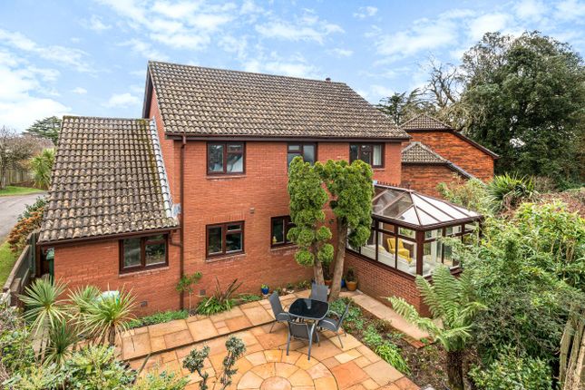 Thumbnail Detached house for sale in Lark Close, Exeter