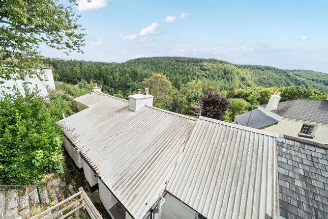 Tinners, Newbridge Hill, Gunnislake photo 2