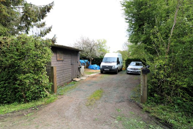 Semi-detached bungalow to rent in Lyefield Lane, Forest Green, Dorking