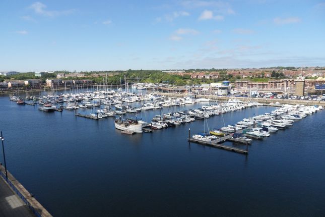 80, North Shields photo 2