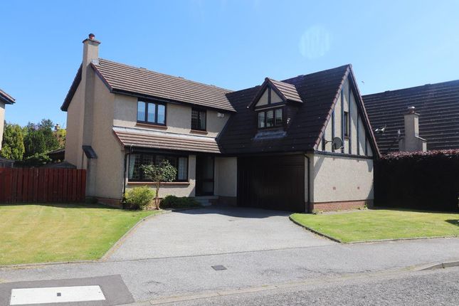 Detached house to rent in Springdale Road, Aberdeen