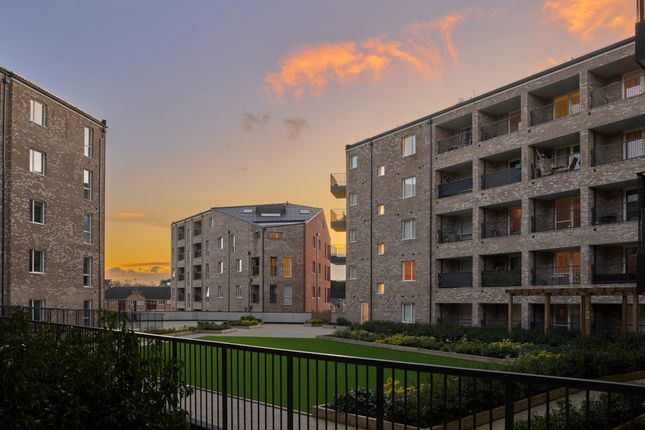 Dusk Photography