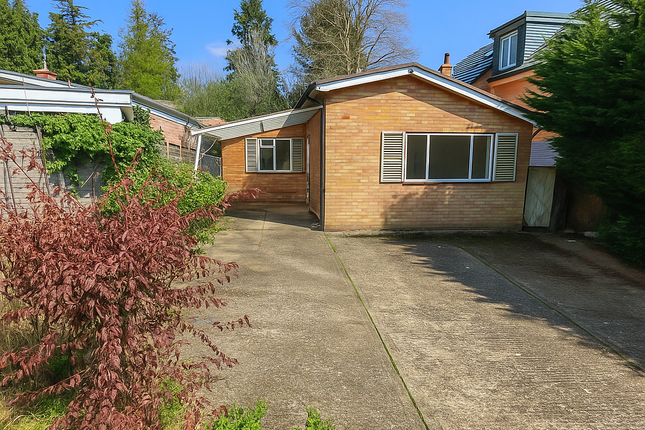 Edera, Hendon Wood Lane, London photo 4