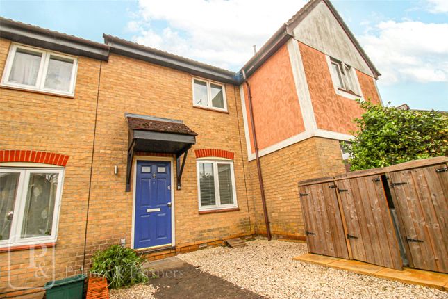 Terraced house to rent in Peto Avenue, Colchester, Essex