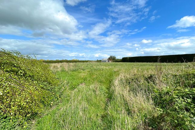 Barn and Lane, Reynolds Lane, Sandbach photo 4