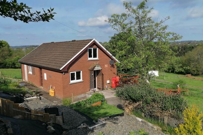 Thumbnail Bungalow to rent in Cartref Bach, Pencarreg, Lanybydder