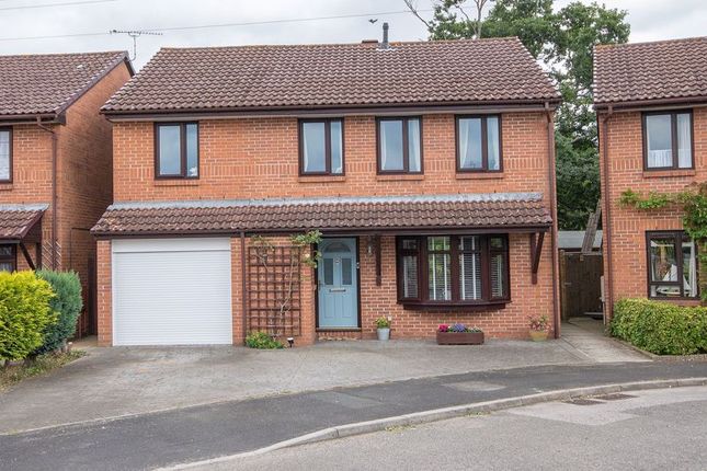 Thumbnail Detached house for sale in Clydesdale Way, Totton, Southampton