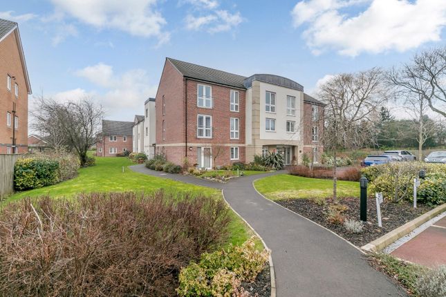 Companions Court (2).Jpg