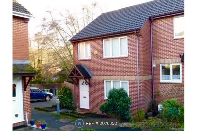 Semi-detached house to rent in Meadowbrook Close, Exeter