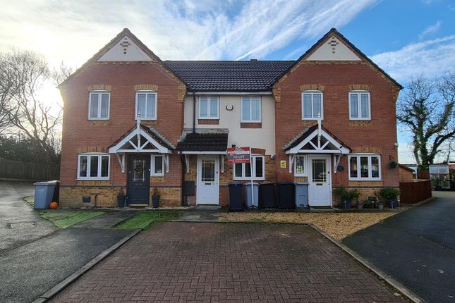 Thumbnail Mews house to rent in Balmoral Gardens, Congelton