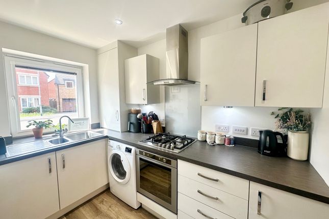 17, Nottingham photo 2