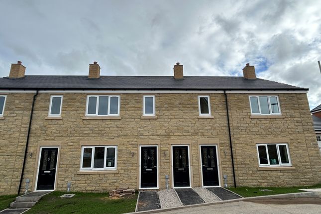 11, Blackburn photo 3