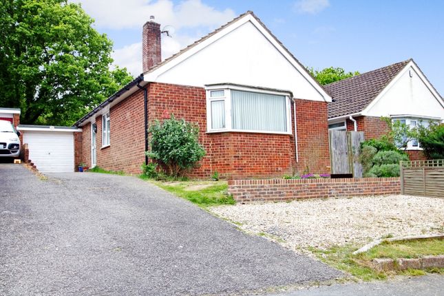 Thumbnail Detached bungalow to rent in Swaines Way, Heathfield