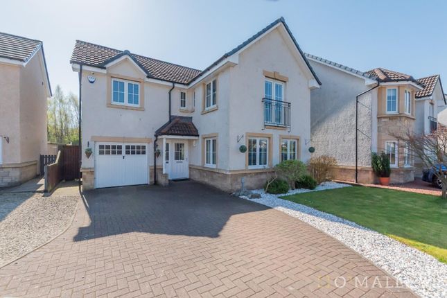 Thumbnail Detached house for sale in Sandpiper Meadow, Alloa