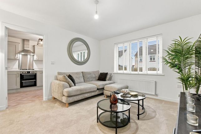 19, Armour Grove, Irvine photo 4