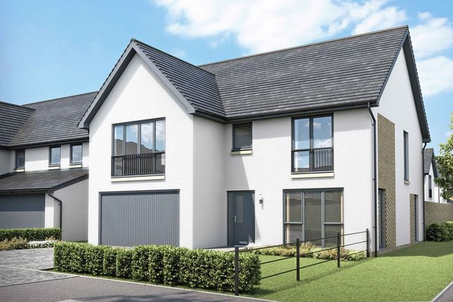 Thumbnail Detached house for sale in "Colville" at Meadowsweet Drive, Edinburgh