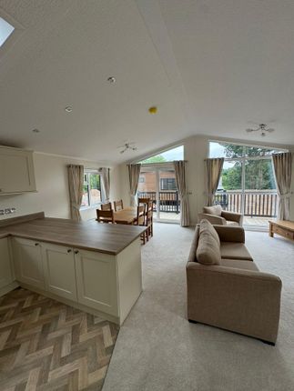 Nadines Country Park, Half Moon Village Newton St Cyres, Exeter photo 5