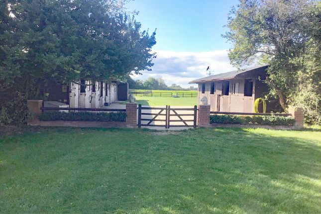 THE PADDOCKS, South Drove, SPALDING photo 3