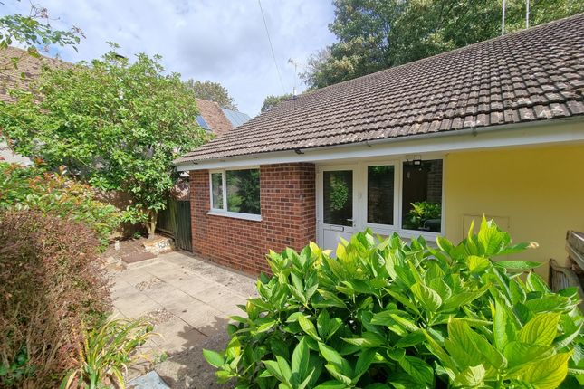 Thumbnail Bungalow to rent in Poplar Close, Great Yeldham, Halstead