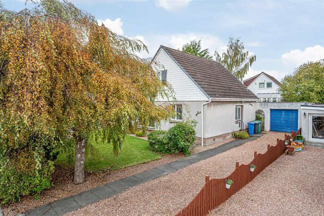 Untitled (1 Of 1).Jpg