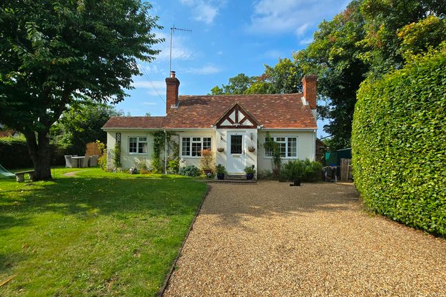 Thumbnail Detached house to rent in Olivers, School Hill, Seale, Farnham