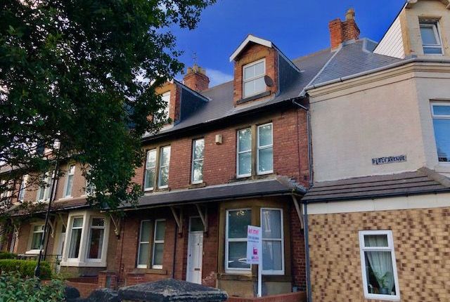 Thumbnail Flat to rent in Percy Avenue, North Shields