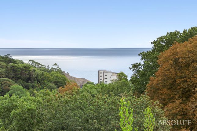 1, Danby Heights Close, Torquay, TQ1 photo 4