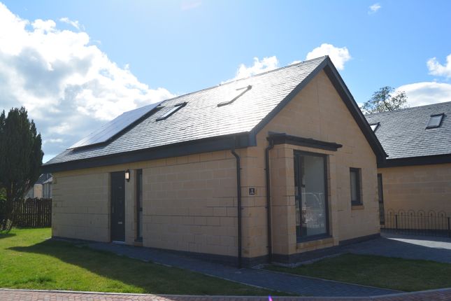Thumbnail Bungalow for sale in Oak Gardens, Denny, Stirlingshire