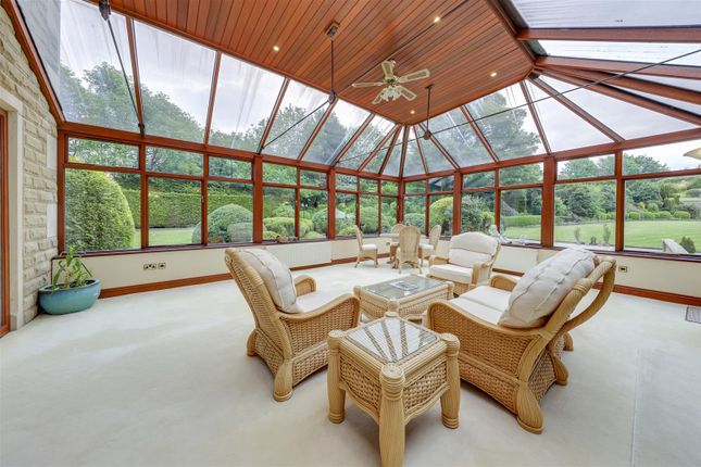 Sun Room Alt