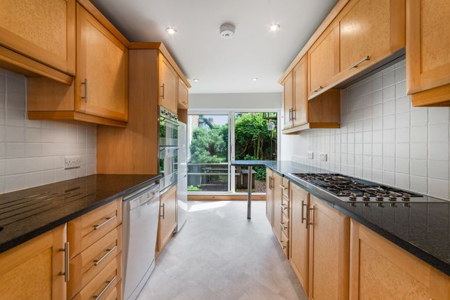 47 Beech Hill Road, Ascot photo 4