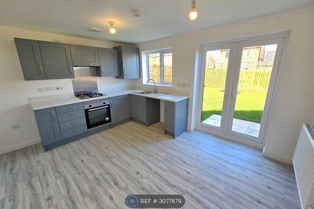 Harrier Drive Langold, Worksop photo 4
