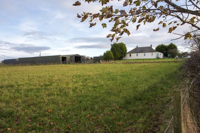 Thumbnail Land for sale in Kingseat, Dunfermline, Fife