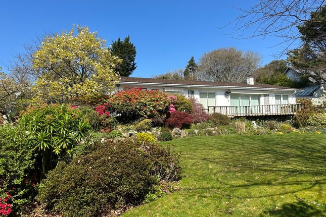 Mellyn Court, Truro photo 3