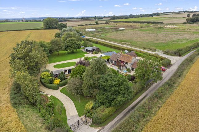 Plot Aerial