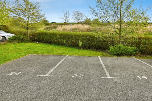 22, Dukes Place, Norfolk photo 4