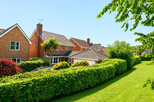 43, Nordens Meadow, Taunton photo 4