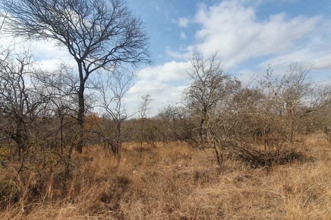 Farm for sale in 1 Selati Ranch, 1 Harmony, Harmony Block, Hoedspruit, Limpopo Province, South Africa