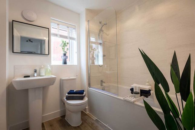 Typical Bathroom