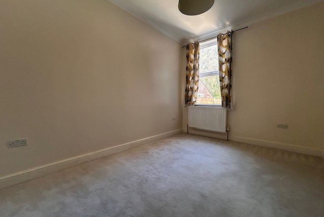 249, Luton photo 3