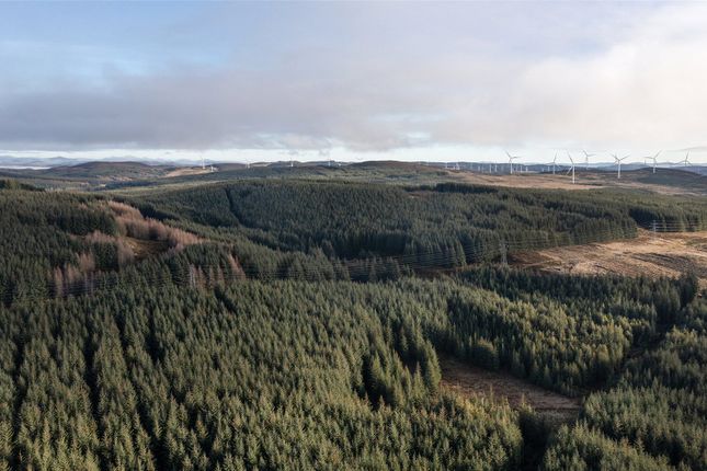 Thumbnail Land for sale in Lot 1 Griffin &amp; Ballinloan A, Forests &amp; Griffin Wind Farm, Aberfeldy, Perthshire