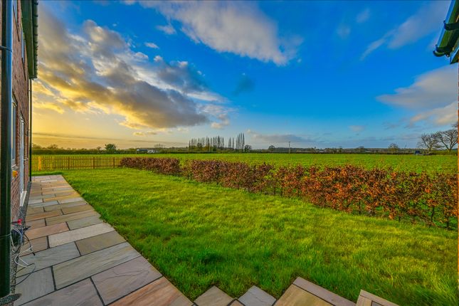 Plot 5, The Hawthorns, Derby photo 2
