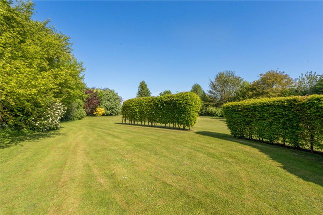 Wider Gardens
