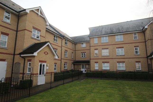 Thumbnail Flat to rent in Cromwell Road, Cambridge