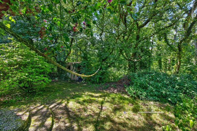Inglewood,, Nettlestone, Isle of Wight photo 3