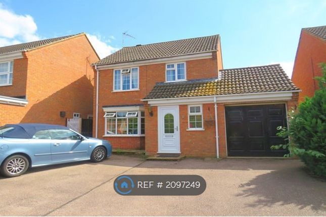 Thumbnail Detached house to rent in Robin Close, Buckingham