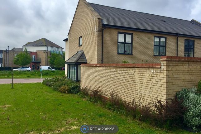 Semi-detached house to rent in Cranesbill Close, Cambridge