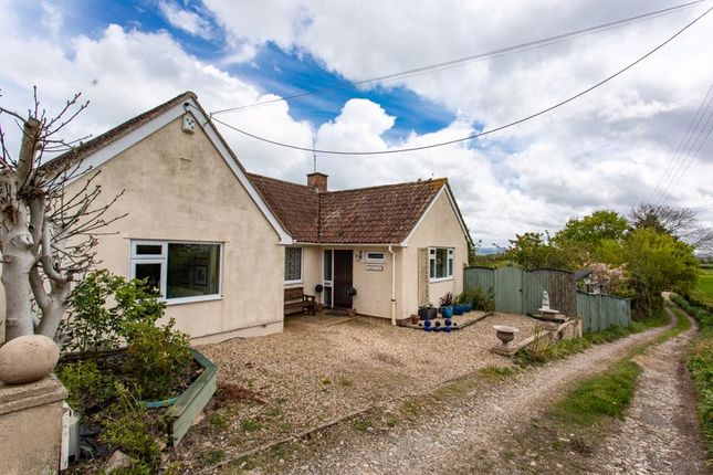 Detached bungalow for sale in Fivehead, Taunton