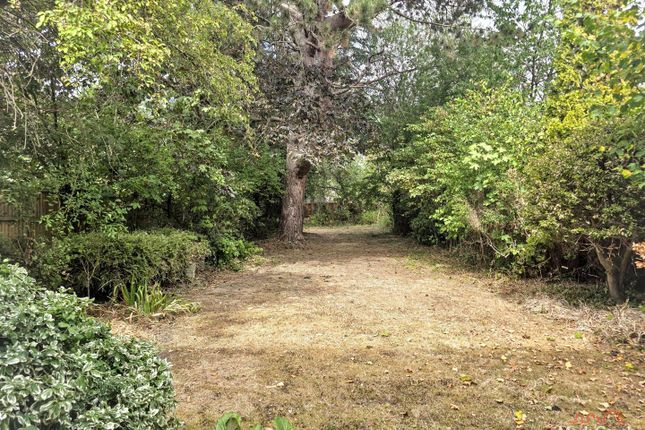 57, Culverhay, Ashtead photo 2