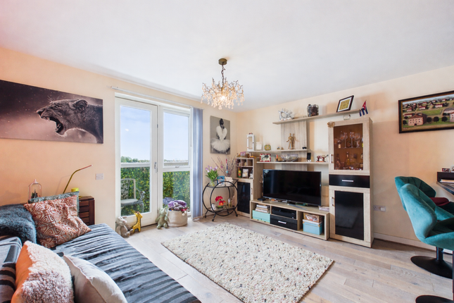 39, Dunlin Drive, Chatham photo 4