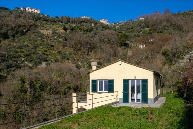 Villa for sale in San Salvatore, Liguria, Italy